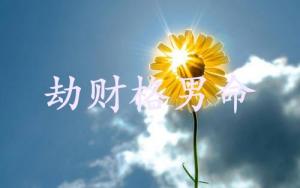 劫財(cái)格男命適合什么工作