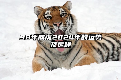 98年屬虎2024年運(yùn)勢及運(yùn)程