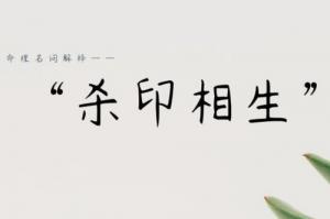 殺印相生是什么意思