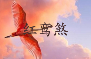 紅鸞煞在八字中代表什么意思