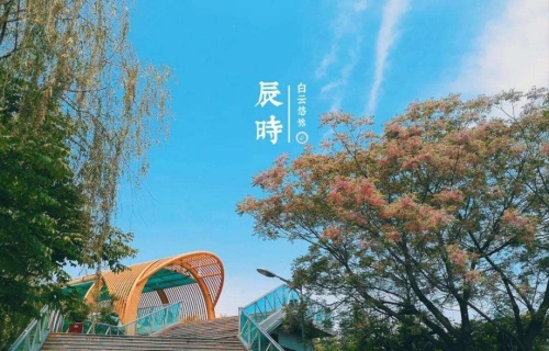 辰時(shí)出生的男孩什么命