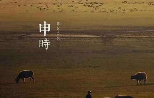 申時出生女孩是什么命