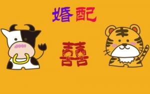 卜算子算命網(wǎng)
