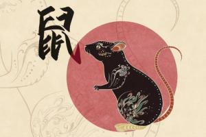 屬鼠人做什么讓另一半最感動