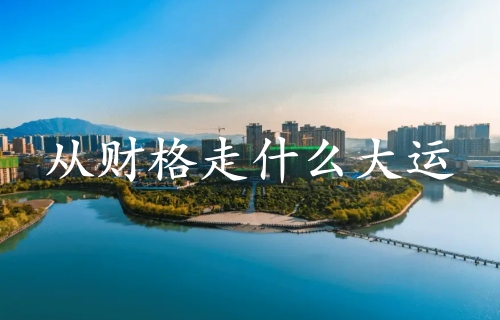 從財(cái)格走什么大運(yùn)最好