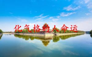 化氣格的人命運如何