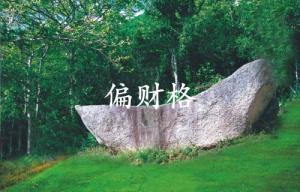 偏財(cái)格命局是什么意思