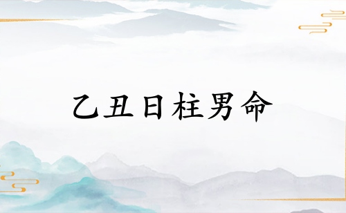 乙丑日柱男命詳解