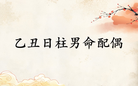 乙丑日柱男命配偶性格特點