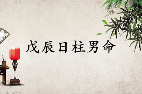 戊辰日柱男命運詳解