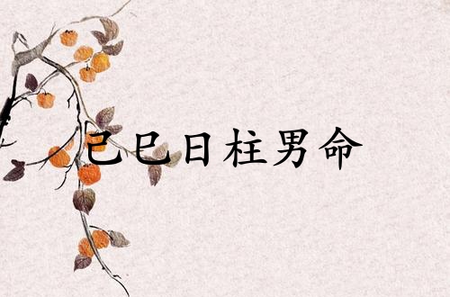 己巳日柱男命運(yùn)詳解