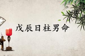 戊辰日柱男命運(yùn)詳解
