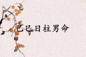 己巳日柱男命運(yùn)詳解
