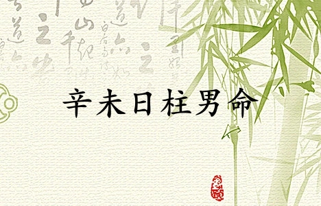 辛未日柱男命運(yùn)詳解