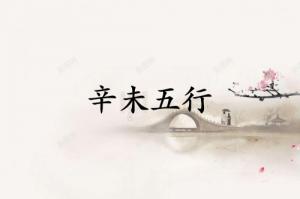 辛未五行屬什么
