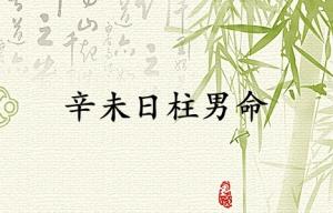 辛未日柱男命運(yùn)詳解