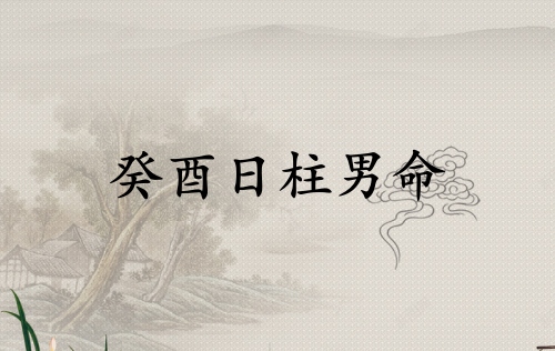 癸酉日柱男命詳解