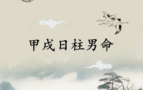 甲戌日柱男命詳解