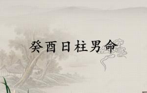 癸酉日柱男命詳解