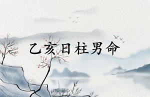 乙亥日柱男命詳解大全