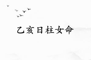 乙亥日柱女命一生詳解