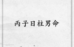 丙子日柱男命運(yùn)詳解