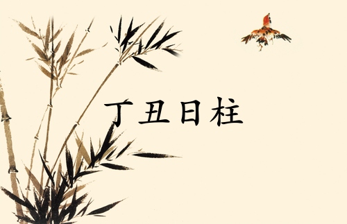 丁丑日柱三命通會精論