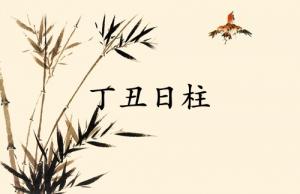 丁丑日柱三命通會(huì)精論
