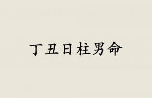 丁丑日柱男命運(yùn)詳解