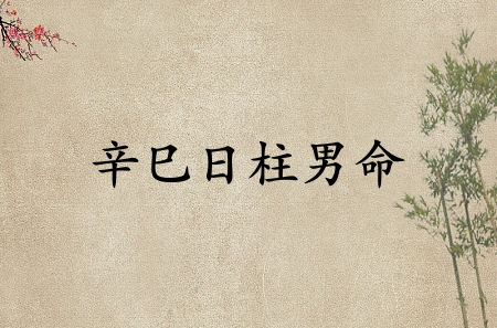 辛巳日柱男命運(yùn)詳解