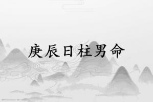 庚辰日柱男命運(yùn)詳解