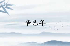 辛巳年是哪一年的屬什么生肖