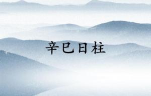辛巳日柱三命精論