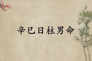 辛巳日柱男命運(yùn)詳解