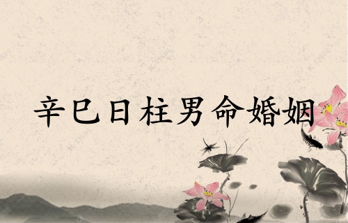辛巳日柱男命婚姻運(yùn)勢詳解