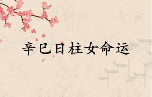 辛巳日柱女命運(yùn)分析