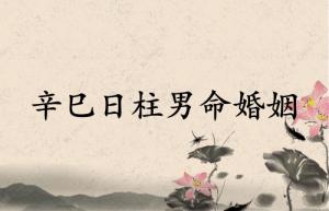 辛巳日柱男命婚姻運(yùn)勢詳解