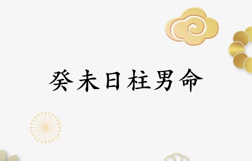 癸未日柱男命運詳解