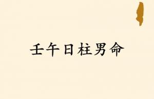 壬午日柱男命運(yùn)詳解