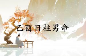 乙酉日柱男命運(yùn)詳解