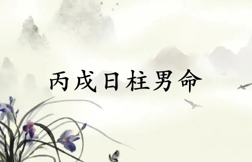丙戌日柱男命運(yùn)詳解