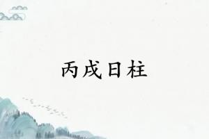 丙戌日柱三命通會精論詳解