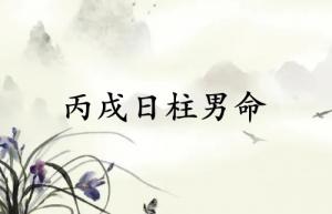 丙戌日柱男命運(yùn)詳解