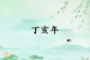 丁亥年是哪一年屬什么生肖