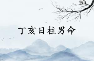 丁亥日柱男命運(yùn)詳解