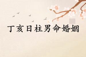 丁亥日柱男命婚姻怎么樣