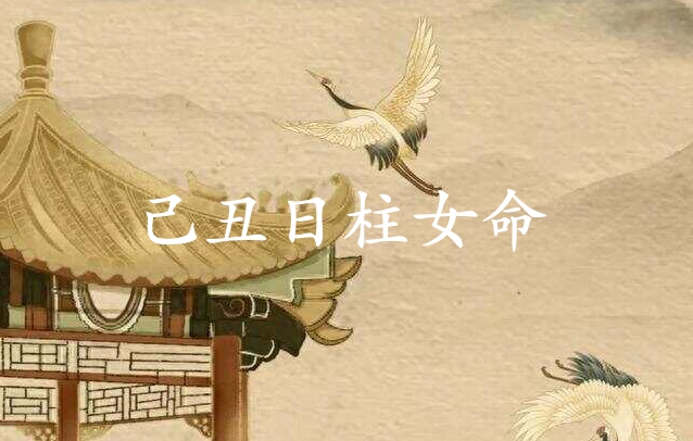 己丑日柱女命運(yùn)分析