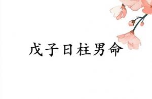 戊子日柱男命運(yùn)詳解