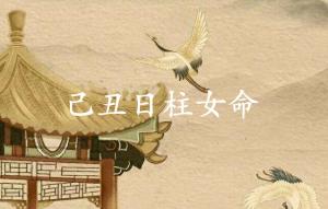 己丑日柱女命運(yùn)分析