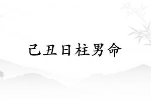 己丑日柱男命運(yùn)詳解
